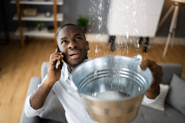 Best Local water damage restoration  in Gonzalez, FL