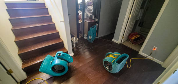 Best Water damage repair service  in Gonzalez, FL