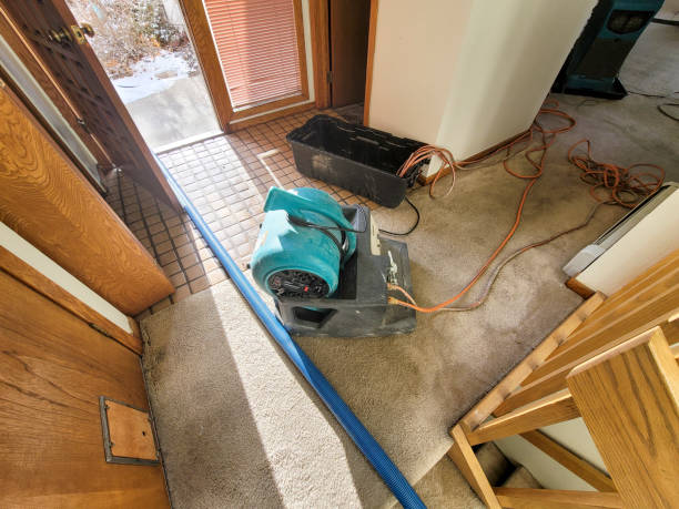 Best Flood damage cleanup  in Gonzalez, FL