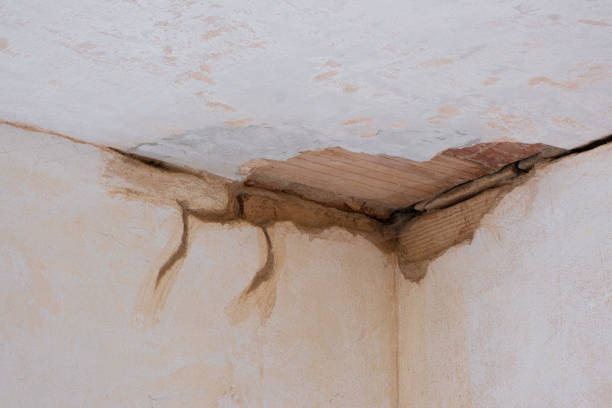 Best Commercial water damage restoration  in Gonzalez, FL