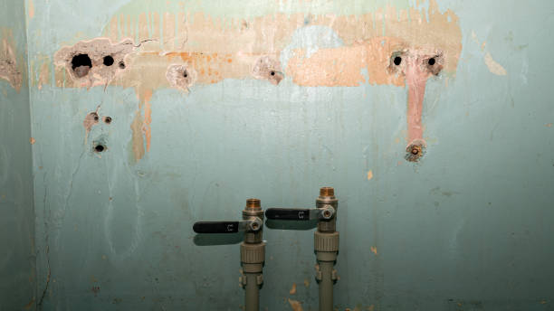 Best Water damage cleanup near me  in Gonzalez, FL