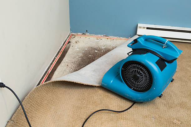 Best Flooded house restoration  in Gonzalez, FL